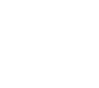 Remolques Satélite